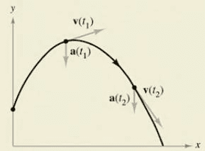 Chapter 12.3, Problem 58E, HOW DO YOU SEE IT? The graph shows the path of a projectile and the velocity and acceleration 