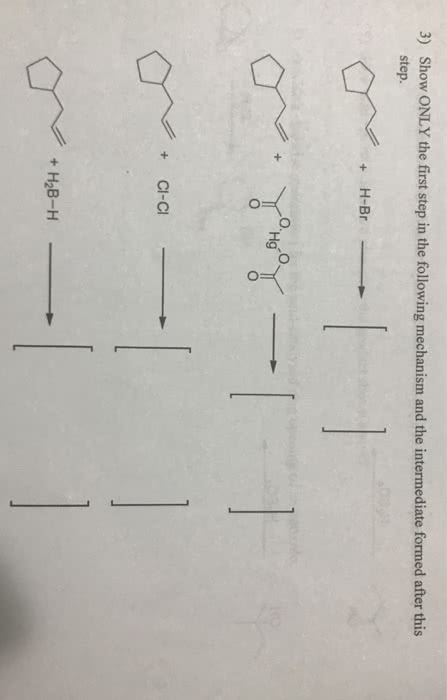 OneClass: O. CHEM Chapter 8 B.. Please Answer All. Show ONLY The First ...