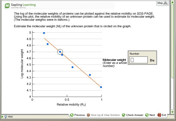 OneClass: Give Two Reasons We Use SDS In SDS-PAGE To Determine The ...