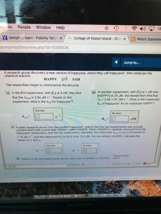 Oneclass Mks People Window Help N Sampling Learn Polarity Yaho X Y M College Of Staten Island Bio S