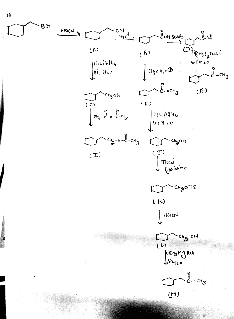 Oneclass Ochem2 Section Cii Chapter 22 Carboxylic Acids And Derivatives Nu Acyl Substitu Could B