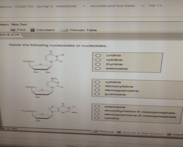 OneClass: Name the following nucleosides ornucleotides. Name the ...